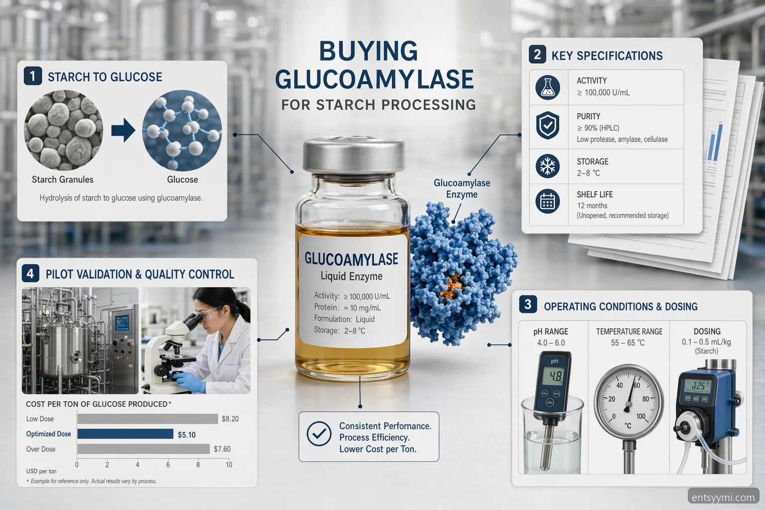 industrial entsyymi starch processing checklist showing glucoamylase specs, process ranges, validation, and cost